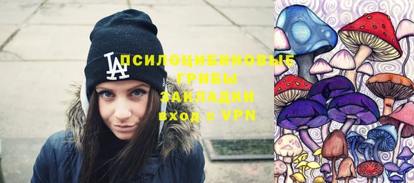 гашик Баксан