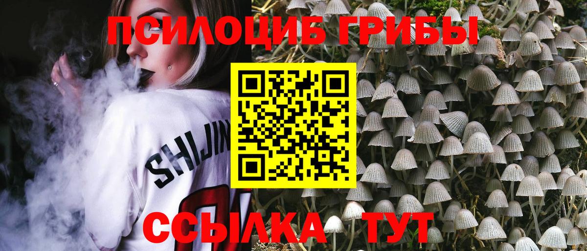 Псилоцибиновые грибы GOLDEN TEACHER Старая Купавна